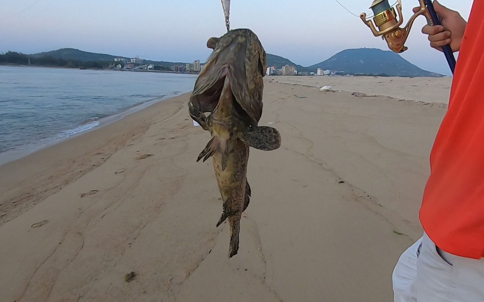 阿平赶海教你如何正确打路亚钓大货海边沙滩竟发现奇特漂亮鱼