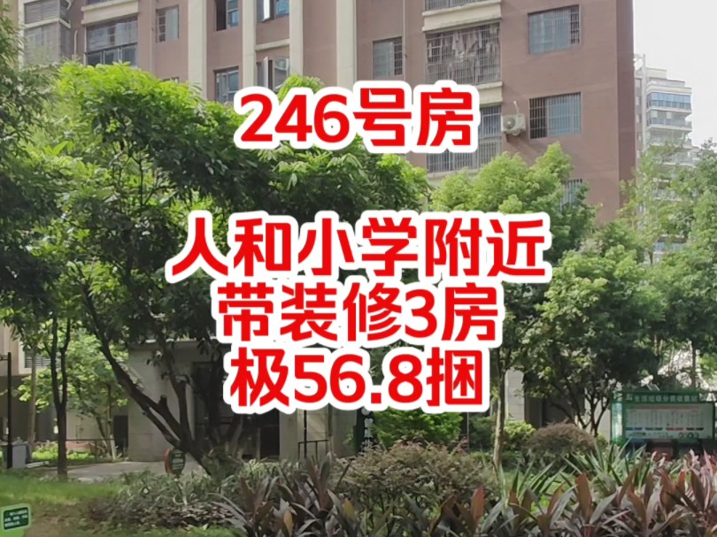 钦州人和小学附近带装修3房报56.8捆#钦州#钦州房产#钦州二手房#钦州热门哔哩哔哩bilibili