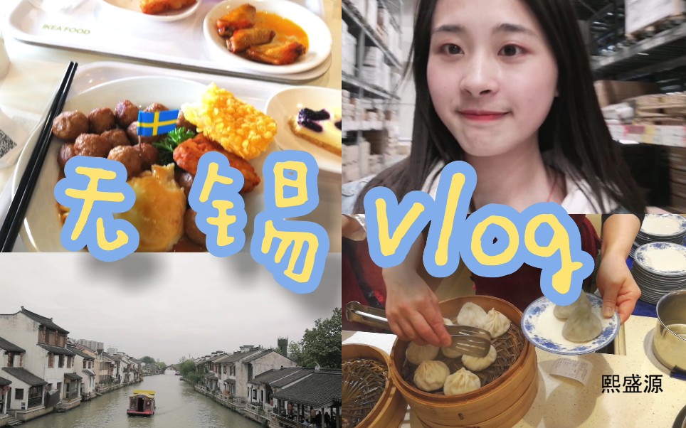 「yuki'vlog」你 来过无锡吗?|旅游|熙盛源|叶子与茶|江南大学|宜家|瑞士肉丸|蓝莓乳酪|南禅寺|逛街|我的毕业旅行哔哩哔哩bilibili