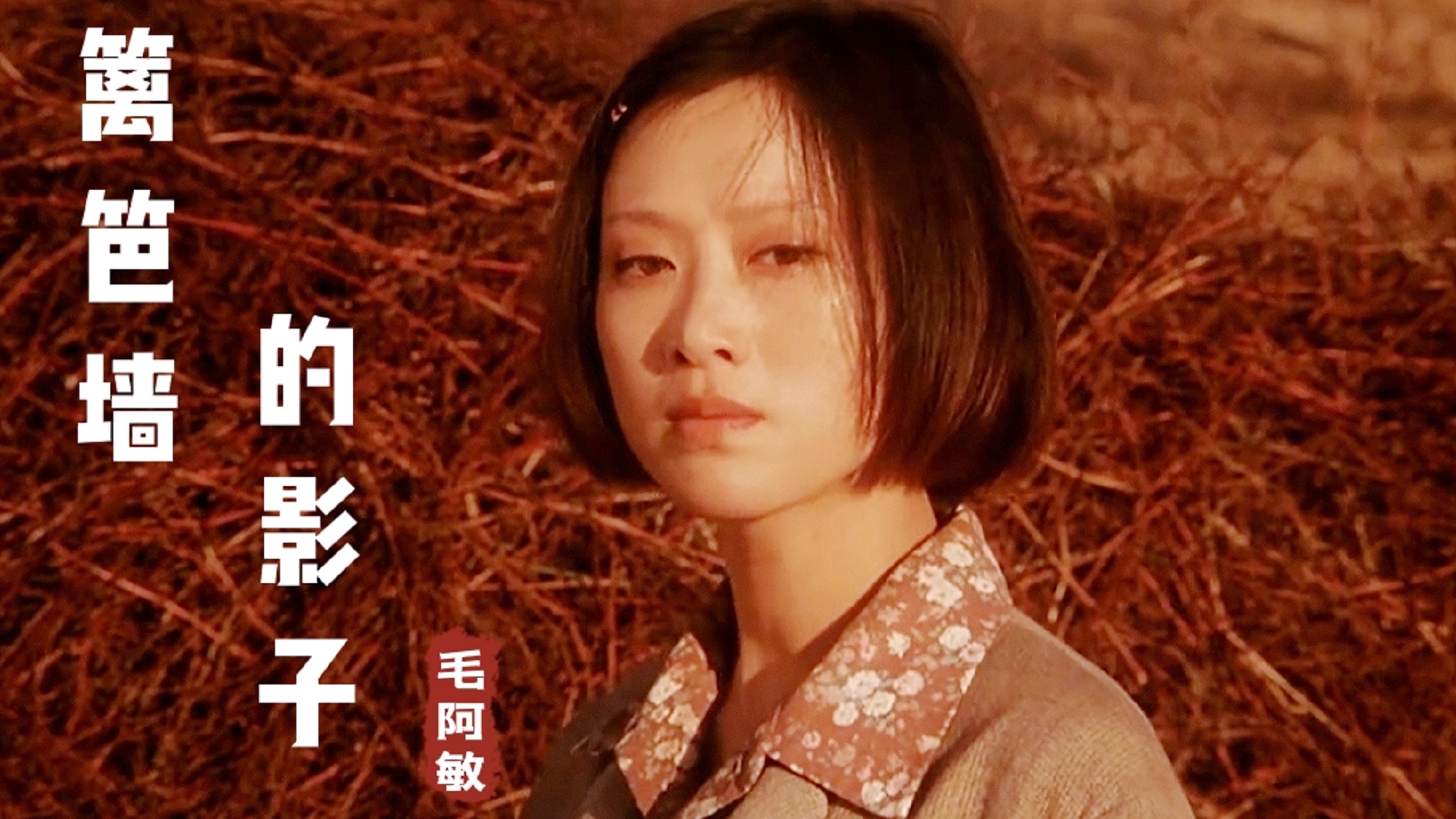 毛阿敏经典《篱笆墙的影子》充满故事的情歌,时代的经典