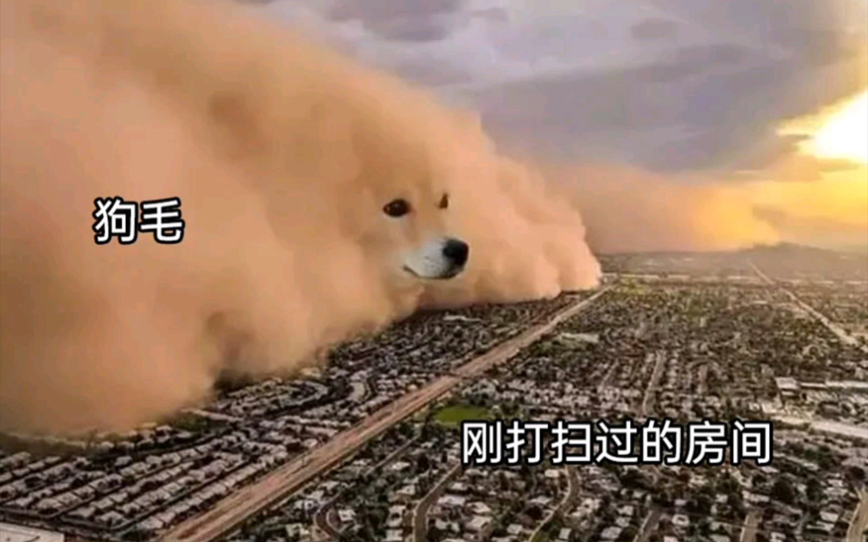 人间真实沙雕梗图