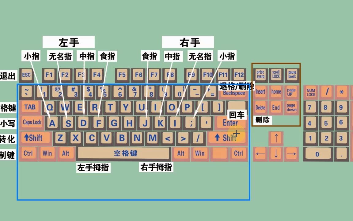 电脑初学者认识键盘和键盘正确打字方法
