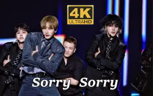 Download Video: 【4K中字】Super Junior - sorry sorry 银赫这段舞蹈是我能免费看的吗 2022 SM家族演唱会 水原站