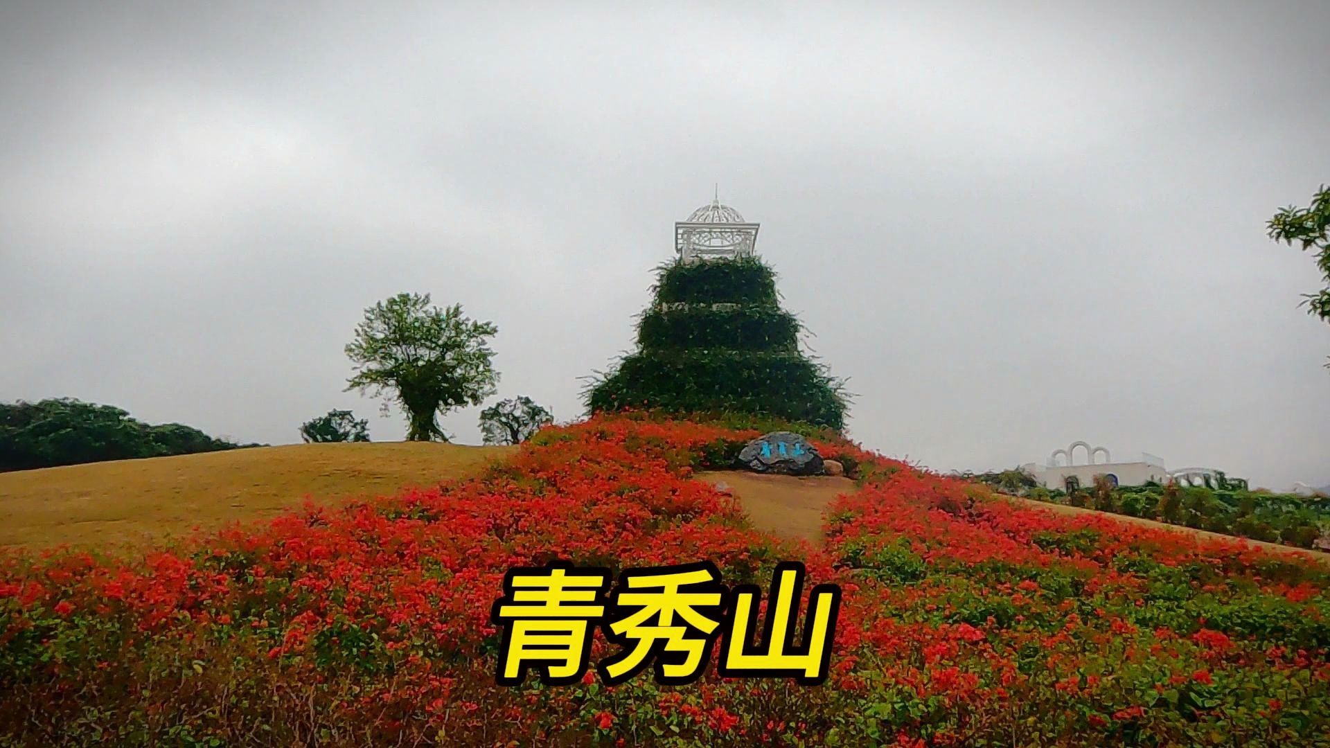 从哪个门进南宁青秀山风景区更好?只在雨中看花赏竹算不算可惜哔哩哔哩bilibili