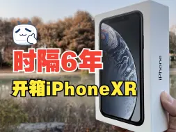 下载视频: 开箱iPhone XR，你想要的的样子它都有！