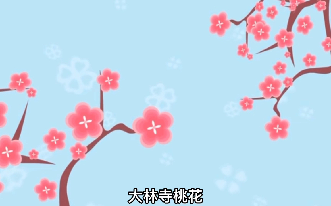 大林寺桃花哔哩哔哩bilibili