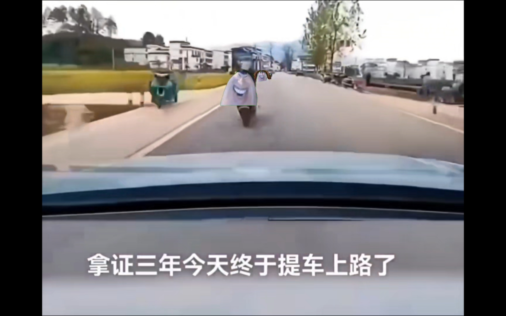 幽默道莉之马路杀手