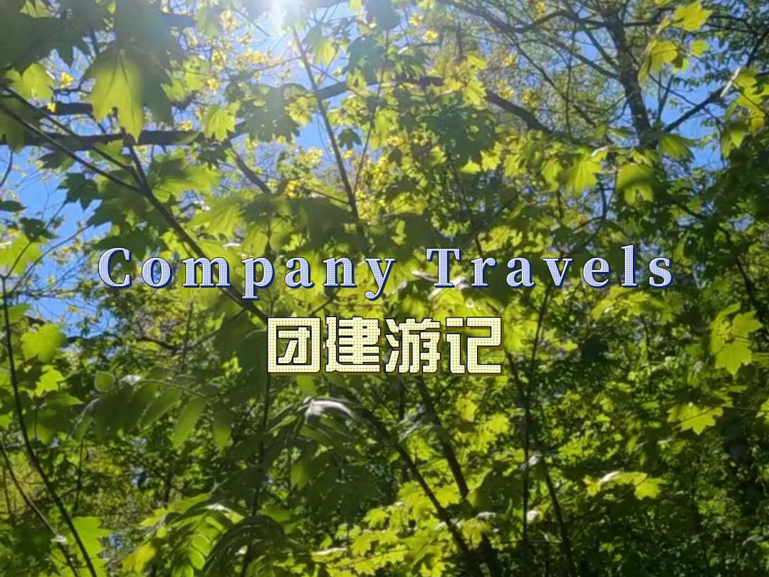 帽峰山生态园91团建日记:休闲社交新玩法!95