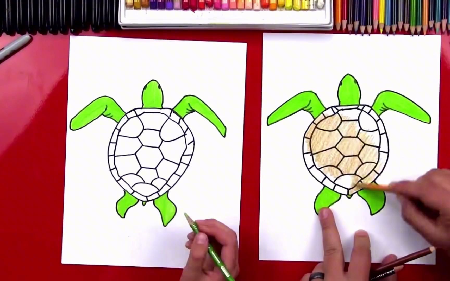 儿童画海龟