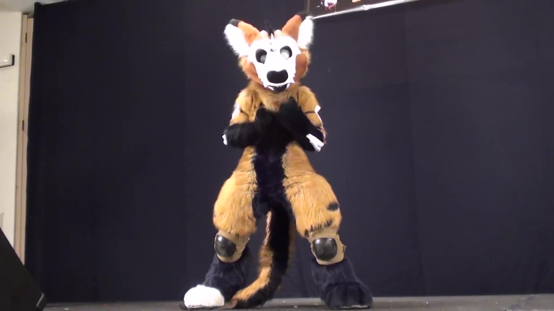 telephone跳舞furfright2013fursuitdancecompetitionfurry兽人兽装兽