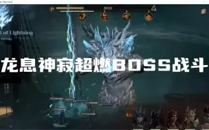 Download Video: 龙息神寂超燃boss战斗