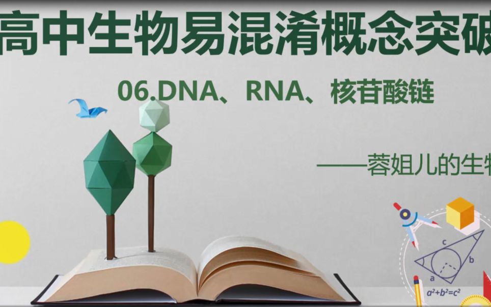 6.高中生物易混淆概念——DNA、RNA、核苷酸链哔哩哔哩bilibili