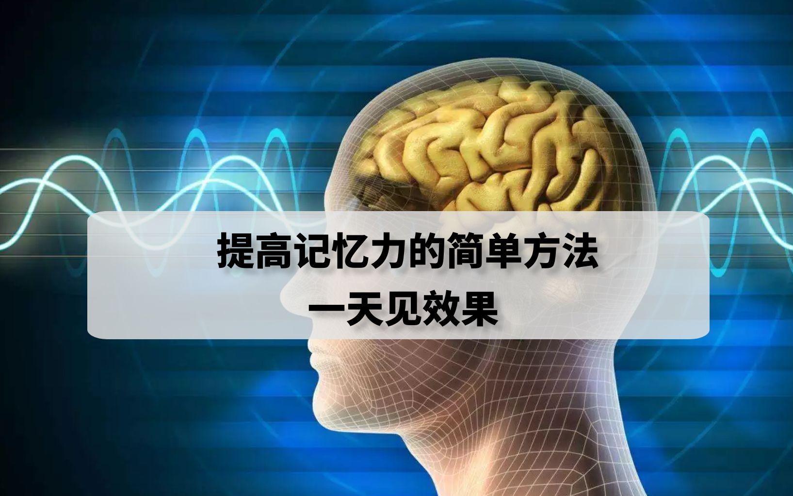 6個破壞記憶力的壞習慣記憶力提升訓練課程如何記憶力提高眾萊思記憶