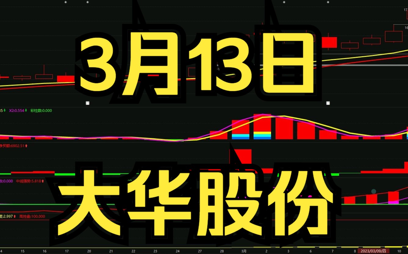 3.13大华股份:最新主力资金情况,如何判断低吸高抛?哔哩哔哩bilibili