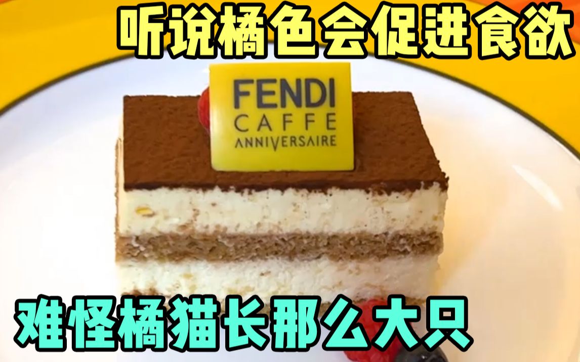 FENDI快闪餐厅?还只开一个月!哔哩哔哩bilibili