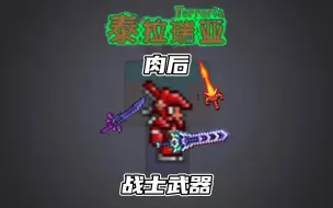 Download Video: 肉后战士过渡武器