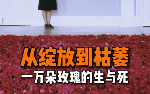 Download Video: 从绽放到枯萎，一万朵玫瑰的生与死是她的艺术作品