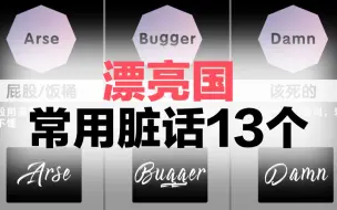 漂亮国常用脏话13个