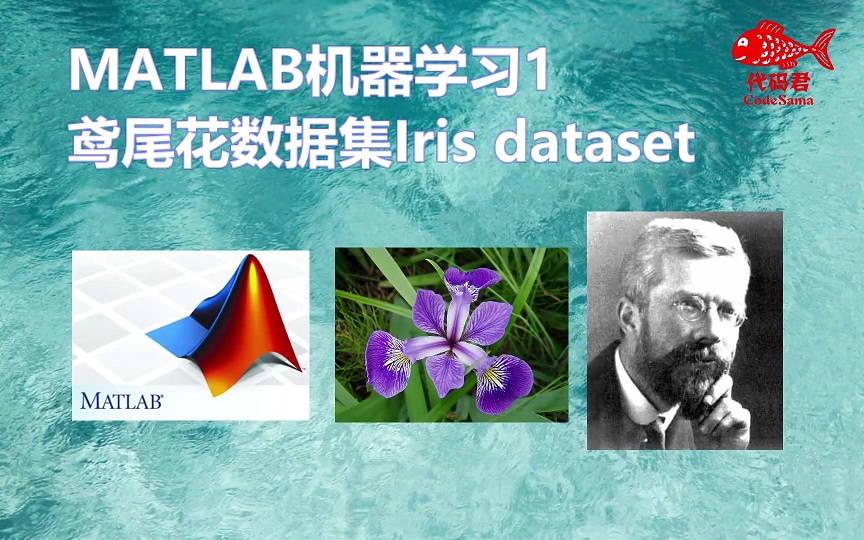 【MATLAB机器学习1】Iris Dataset鸢尾花数据集哔哩哔哩bilibili