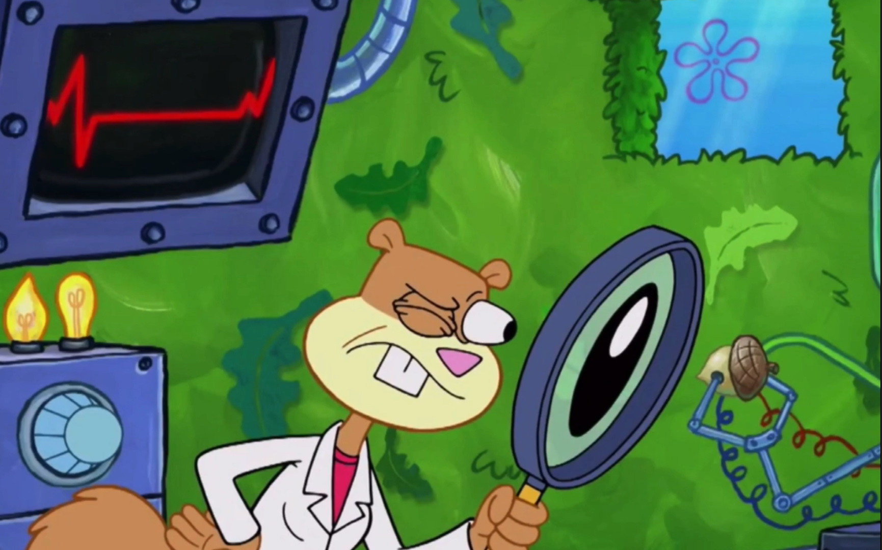 海绵宝宝:珊迪的疯狂实验_哔哩哔哩_bilibili