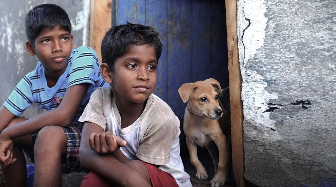 印度电影贫穷小男孩图片