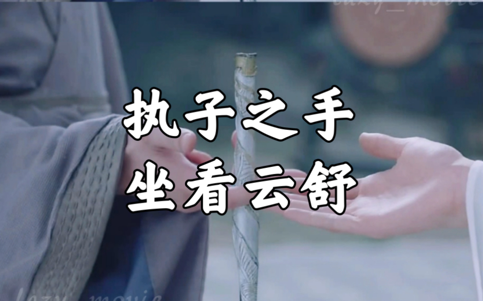 活动作品山河令执子之手坐看云舒