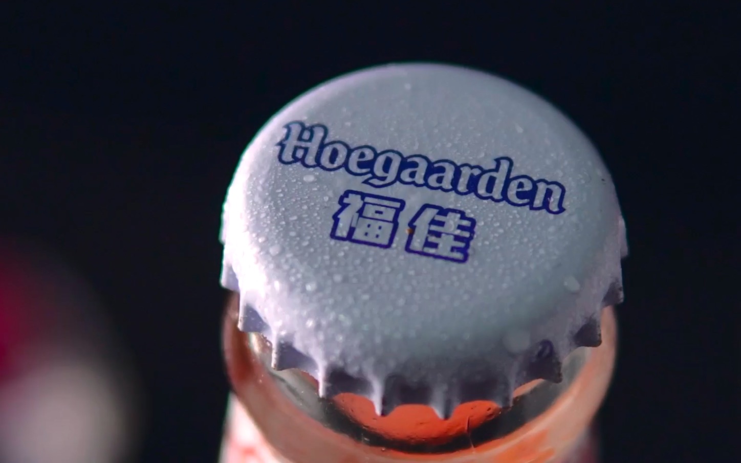 喝啥/23 hoegaarden福佳玫瑰,来自比利时福佳酒厂哔哩哔哩bilibili