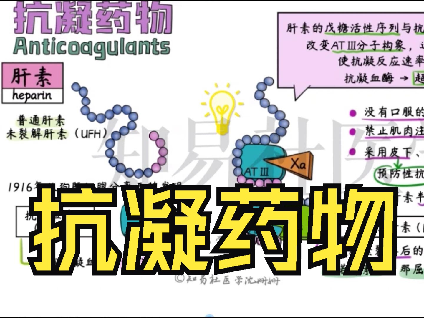 手绘精讲 抗凝药物(一)| 肝素 低分子肝素 达比加群 利伐沙班哔哩哔哩bilibili