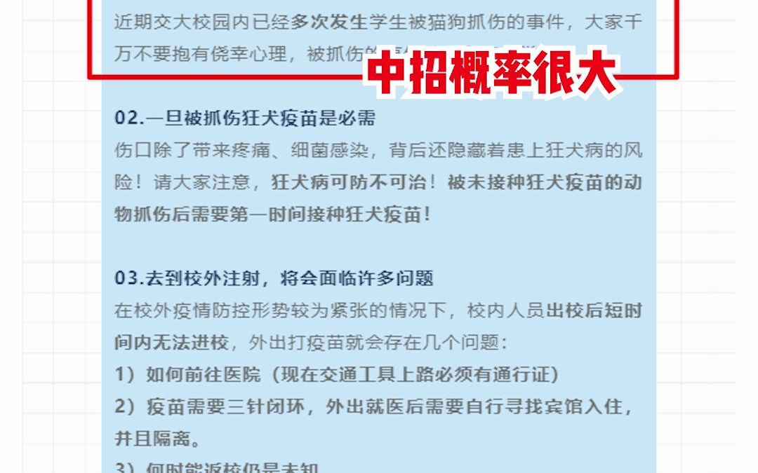 网传上海交大博士生疫情期间校内逗流浪猫被处罚?交大这样回应……哔哩哔哩bilibili