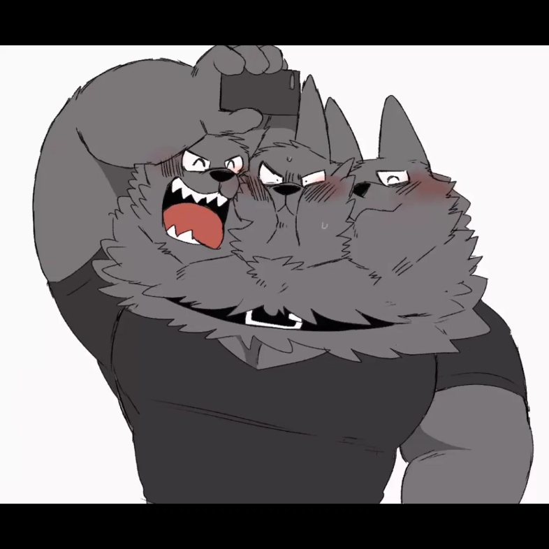 三头狼狼_哔哩哔哩_bilibili