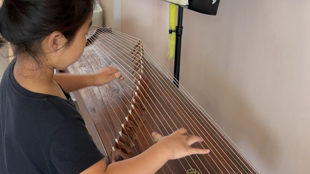 菜鸟小小杨自我满意弹奏