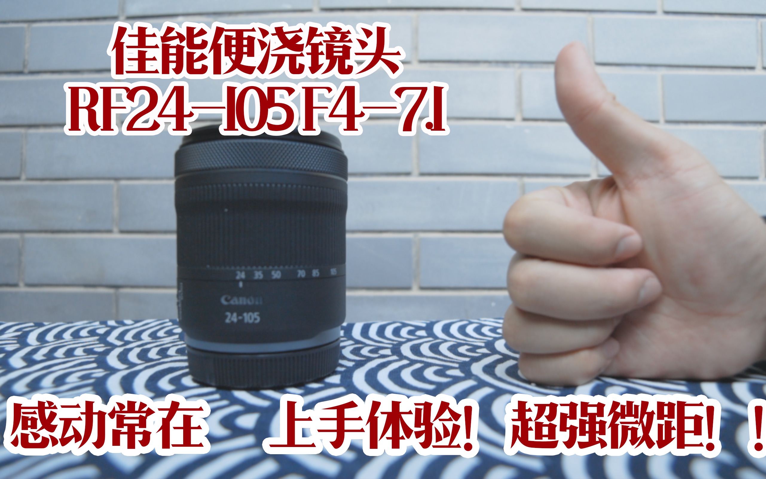 佳能RF24105mm F47.1 is stm新变焦镜头上手体验|微距极强!!!哔哩哔哩bilibili