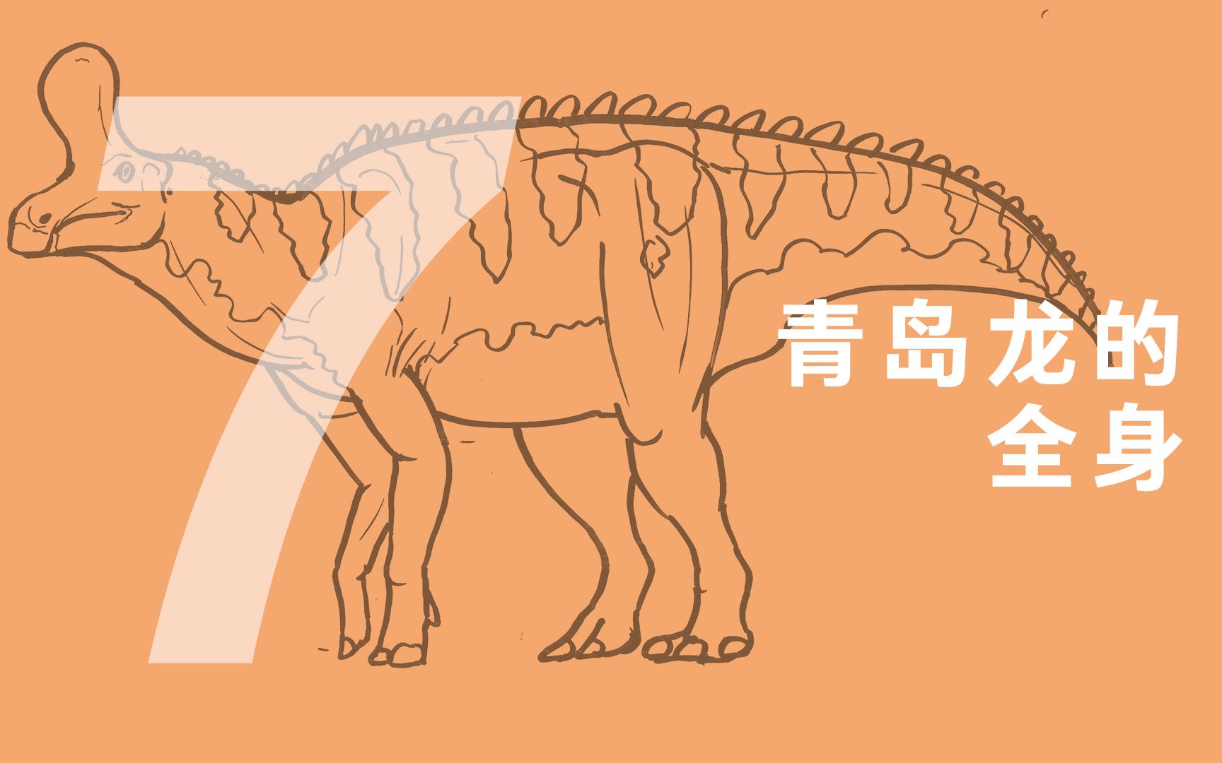 和赵闯学画青岛龙 07 青岛龙的全身哔哩哔哩bilibili