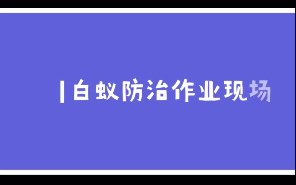 灭白蚁用什么效果好?灭白蚁药对人体有危害吗?灭白蚁怎么收费 价格哔哩哔哩bilibili