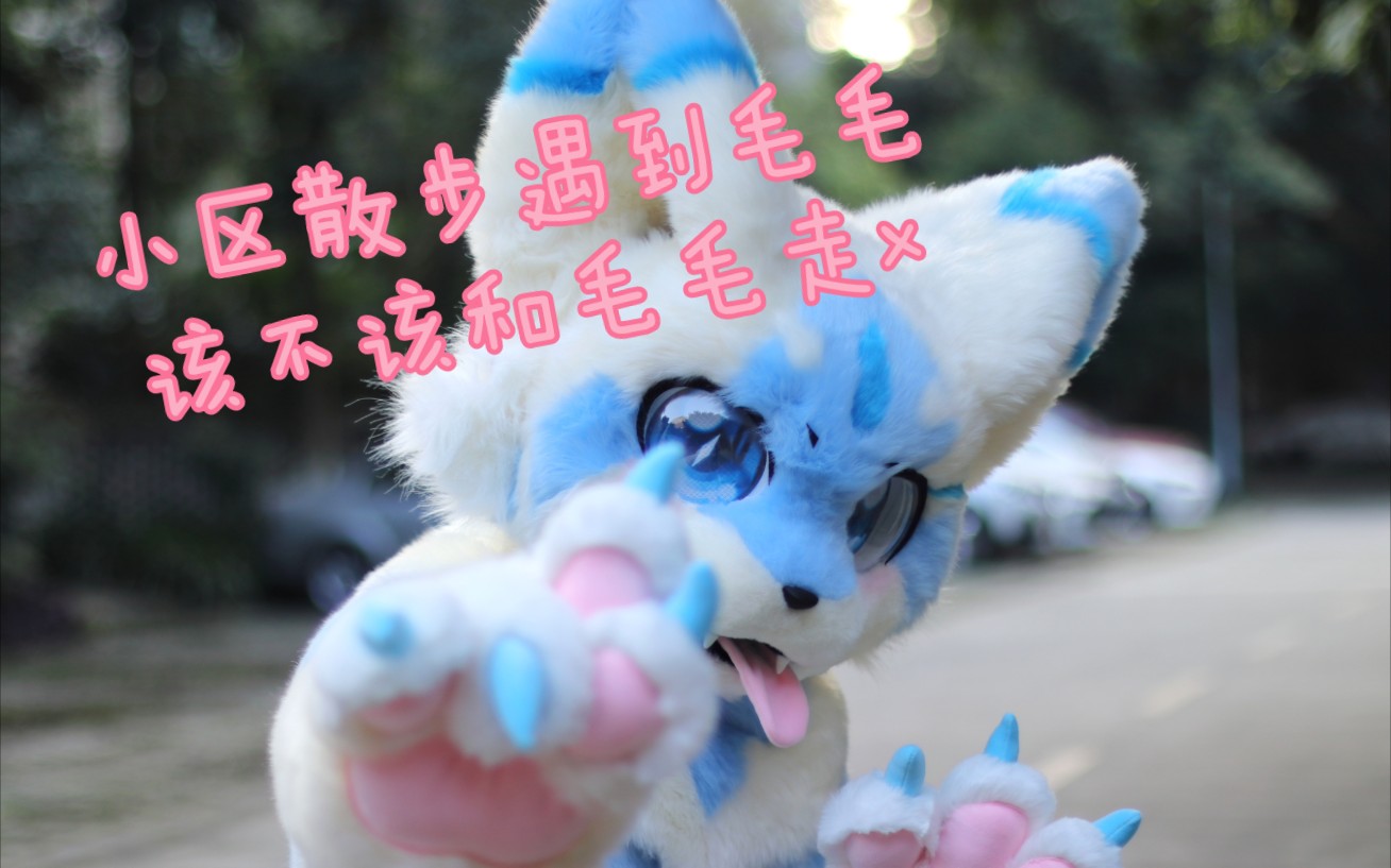 【Fursuit Commission】小区散步偶遇毛毛,该不该一起走? |雨水的全装委托展示|雪橙兽装工作室哔哩哔哩bilibili