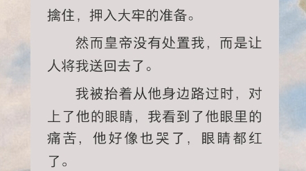 这篇真的是很虐啊,皇后姐姐魂穿回妹妹身上,妹妹再次被招进宫做替身,姐姐为自己复仇哔哩哔哩bilibili