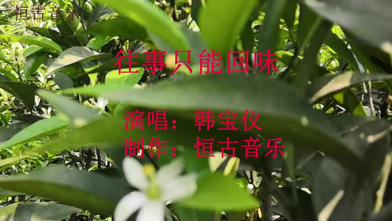 [图]一首韩宝仪：往事只能回味，回忆童年时竹马青梅