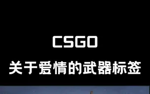 下载视频: 【CSGO】关于爱情的改名标签