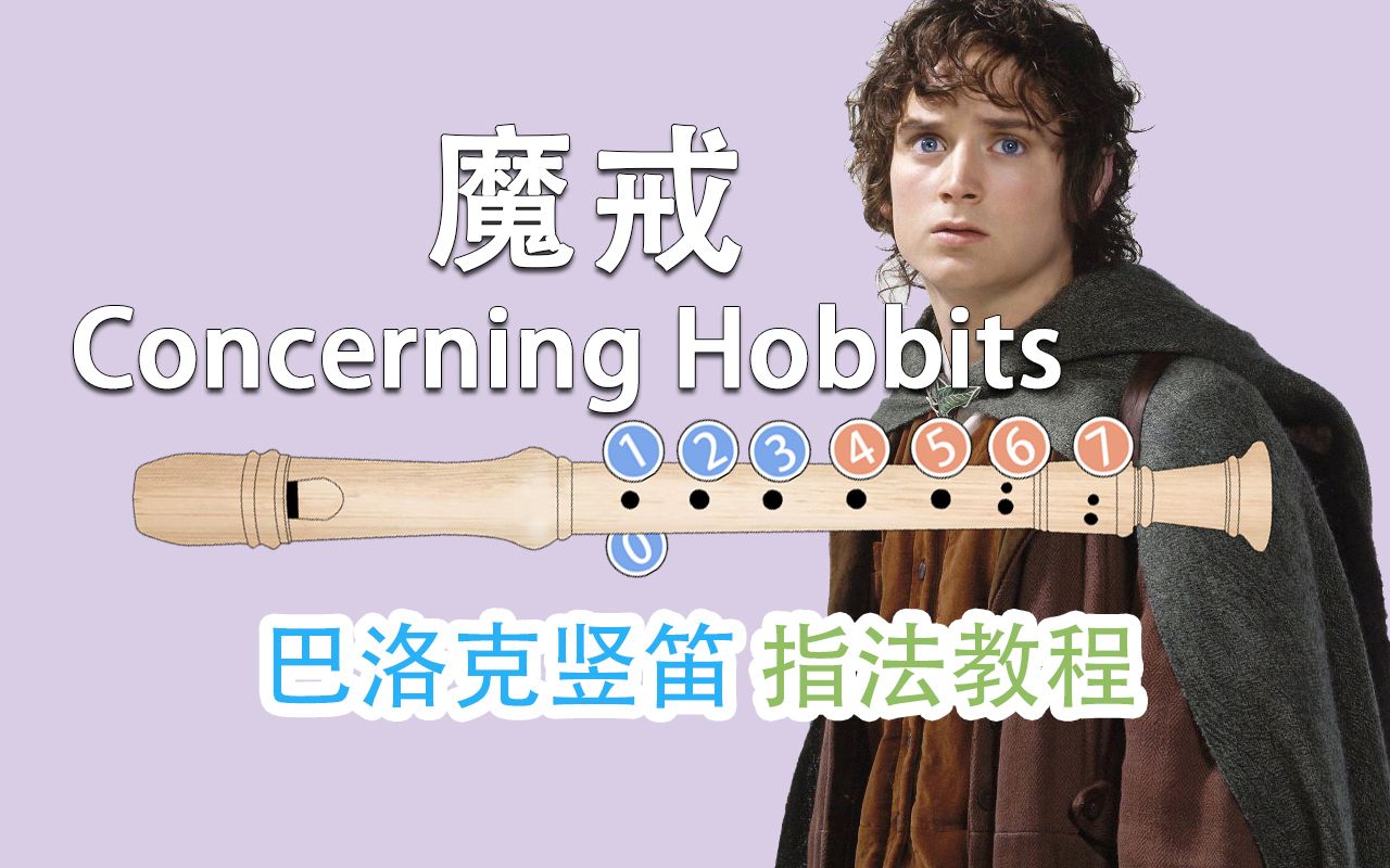 【八孔竖笛】魔戒主题曲 Concerning Hobbits 竖笛新手指法详解教程【熊猫教程】哔哩哔哩bilibili