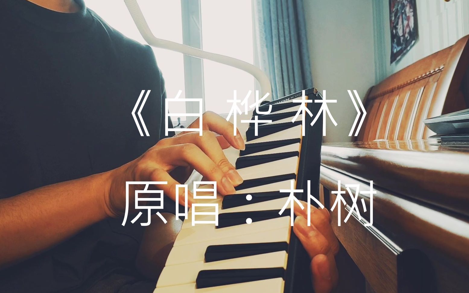 活动作品口风琴白桦林