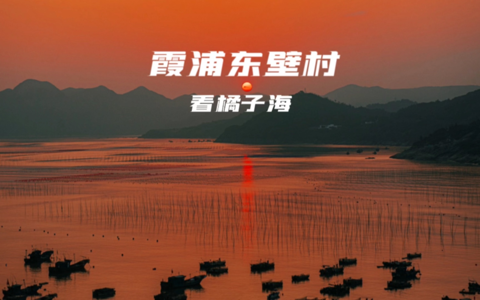 在霞浦东壁村,看夏日橘子海~哔哩哔哩bilibili