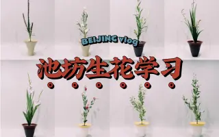 池坊 哔哩哔哩 Bilibili