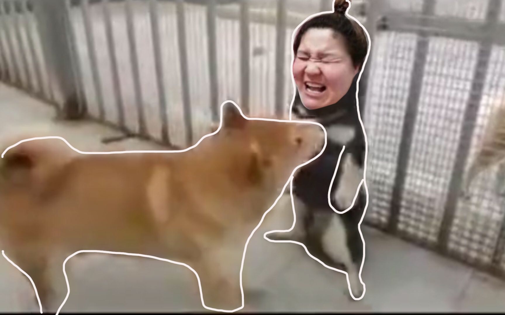 郭老师放过郭子