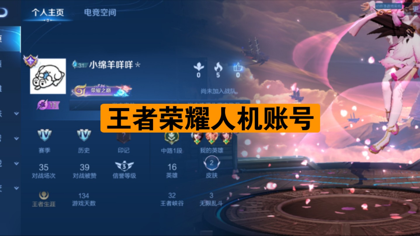 王者出现两个皮肤贵族10账号,朋友们帮我看看是不是人机