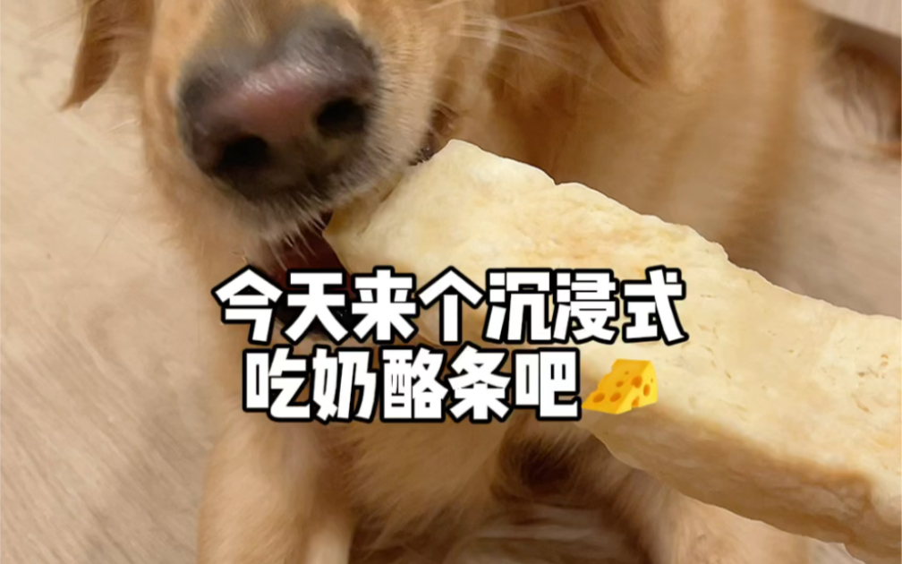 今日份脆脆预警哔哩哔哩bilibili