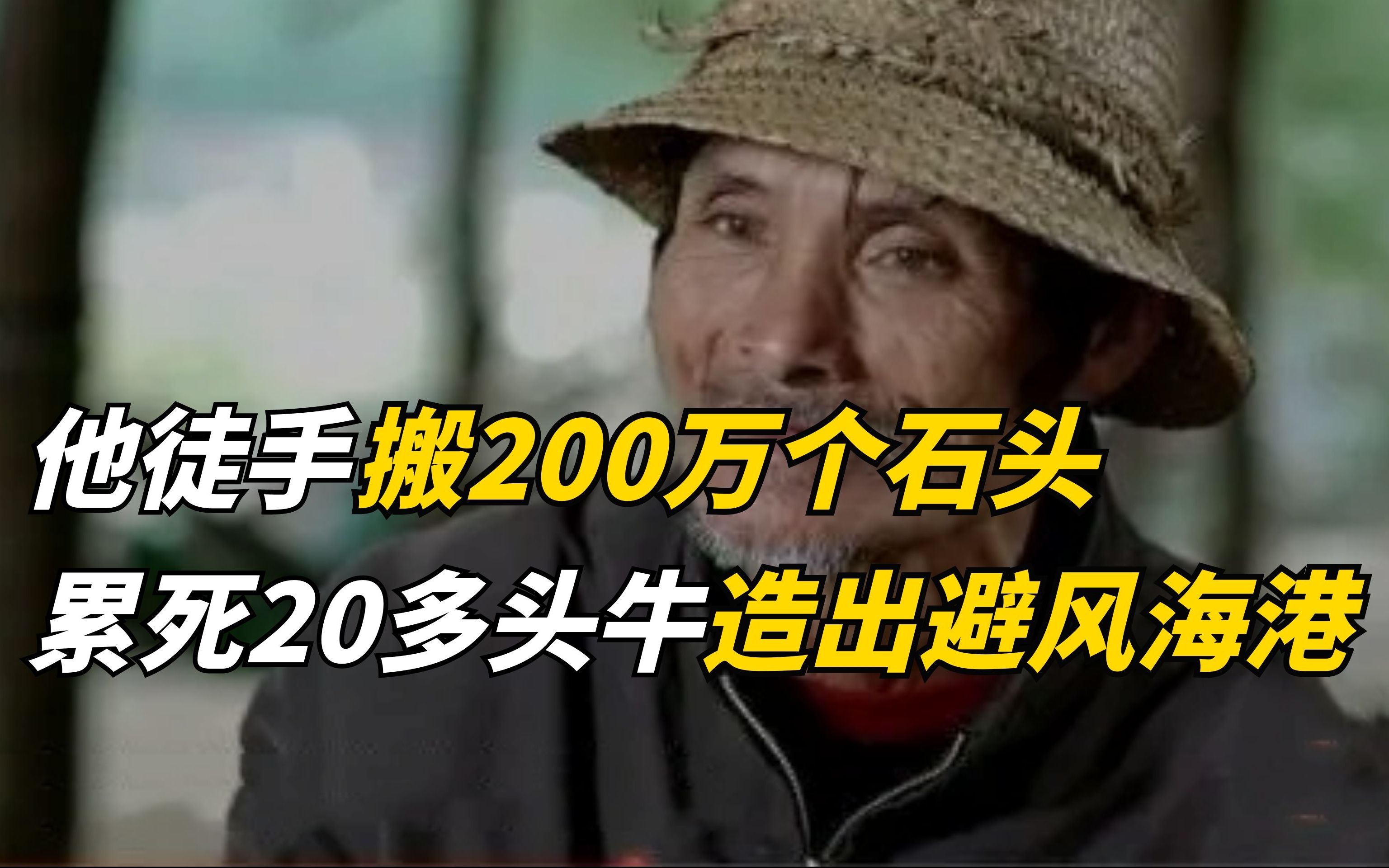 他30多年徒手搬200多万个石头,累死20多头牛为渔船建造出避风港湾哔哩哔哩bilibili