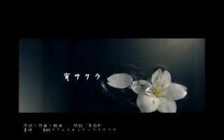 綿飴 哔哩哔哩 Bilibili