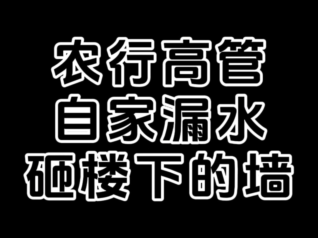 银行高管自家漏水砸楼下的墙,时先生驱车3700公里硬刚银行高管,农业银行:我低头了算我输哔哩哔哩bilibili