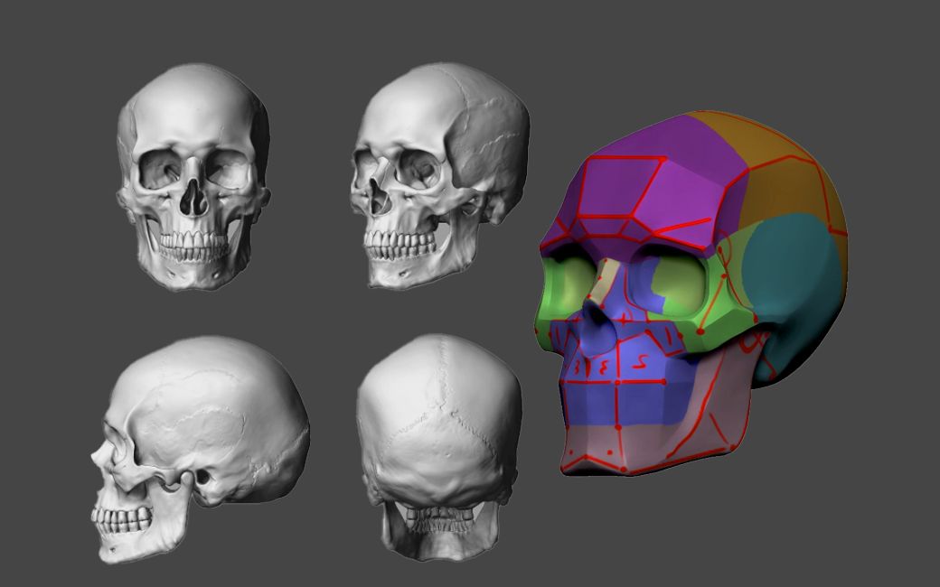 23分钟学会头骨骨骼和骨点介绍操作和使用!zbrush建模