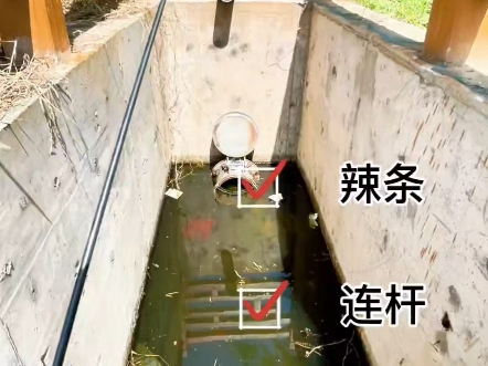 神秘水坑全是宝贝